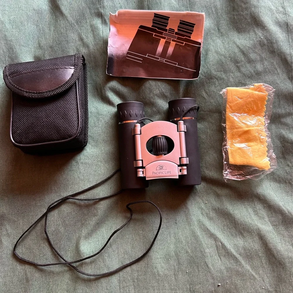 Folding Black and Silver Binoculars in Case